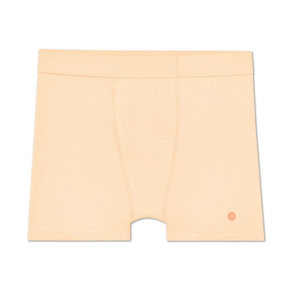 Allbirds Men's Briefs Orange - Trino® Boxer - 32819EKCD